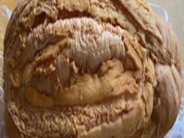 Dutch Crust Bread (EA)