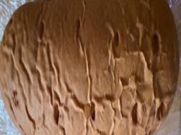 Plain Rye Bread (EA)