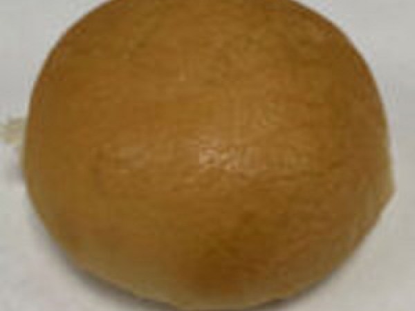 Butter Crust Hard Rolls (DZ)