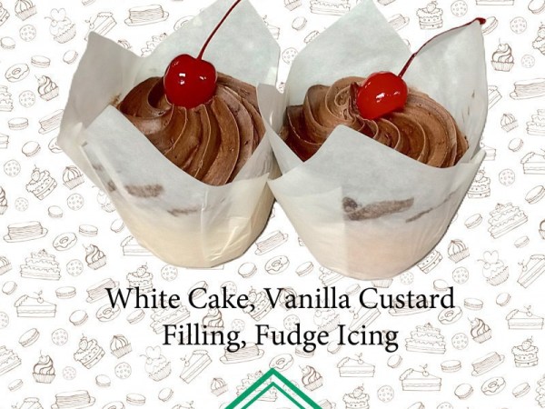 Boston Creme Cupcake (EA)